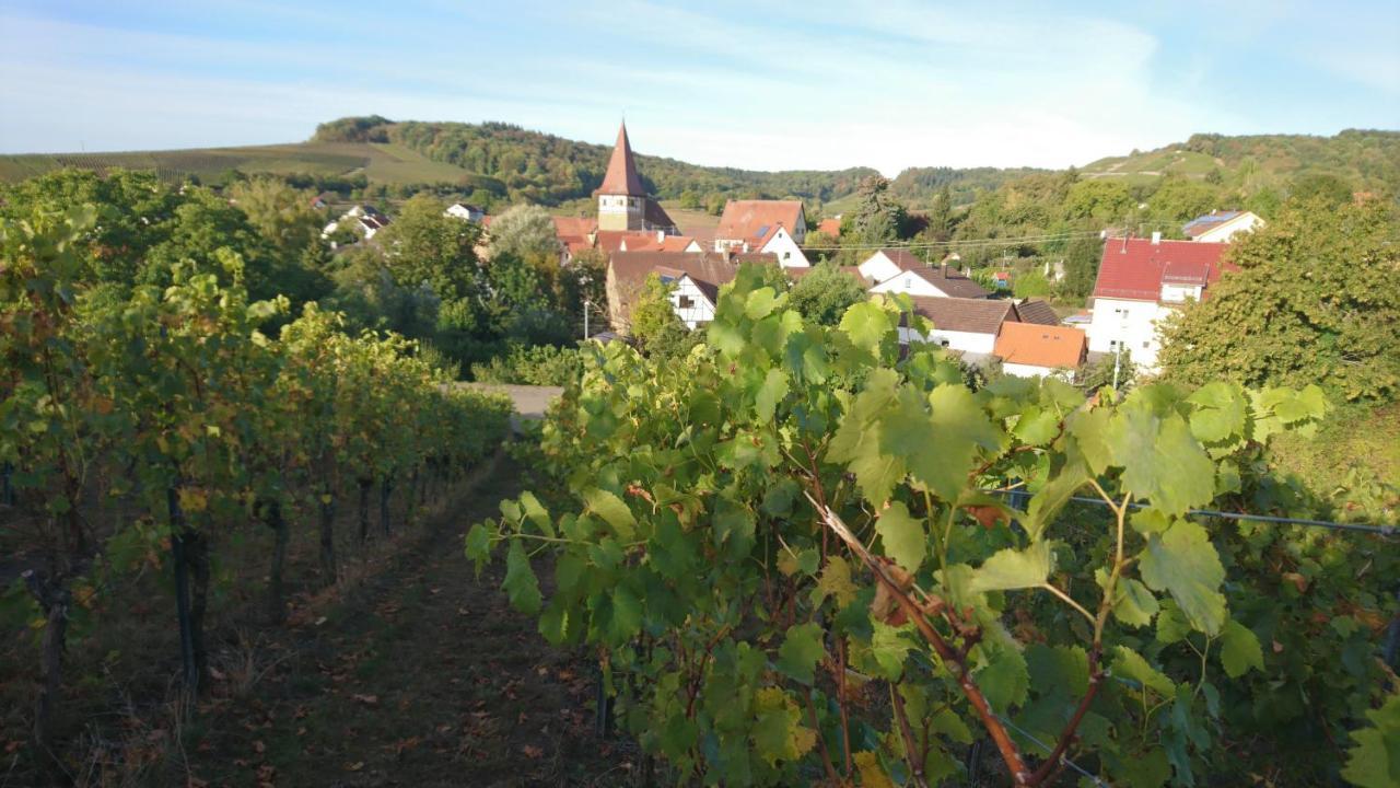 Weingut Will Und Wuerz Lemberger Apartment Schwaigern Exterior photo